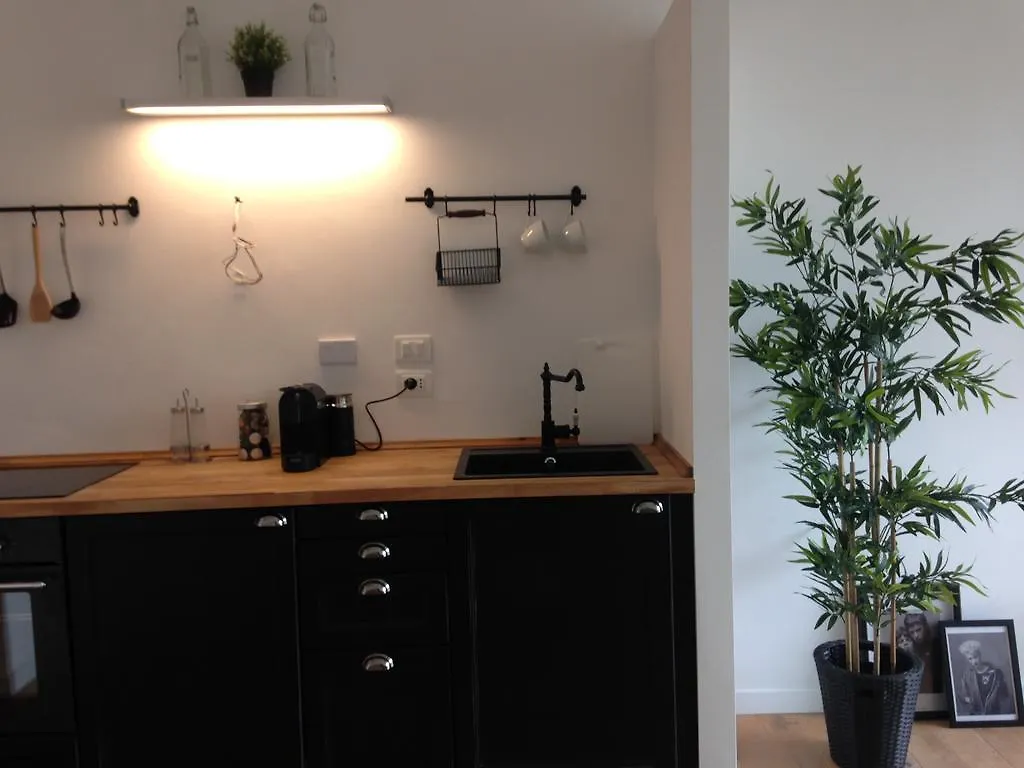 Industia Loft Apartment Florence Italy